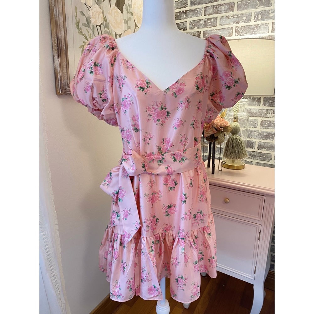 NWT LoveShackFancy x Target Cécile Puff Sleeve Dress